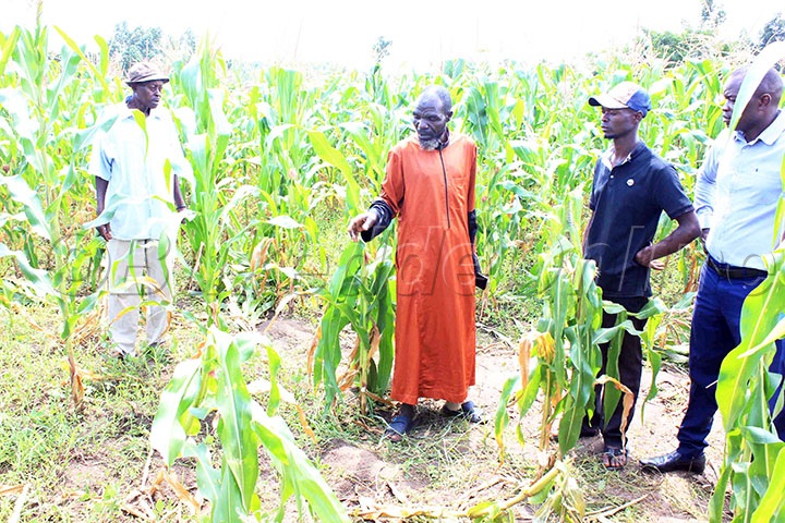 Ddumba (ow'okubiri Ku Kkono) Taata W'omugenzi Ng'alaga Abakulembeze We Baasanze Omulambo.