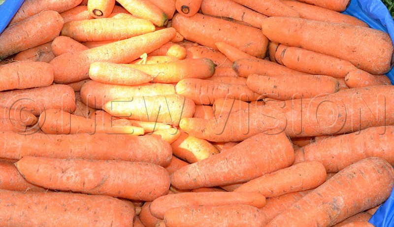 Essay on carrot for class 1 image