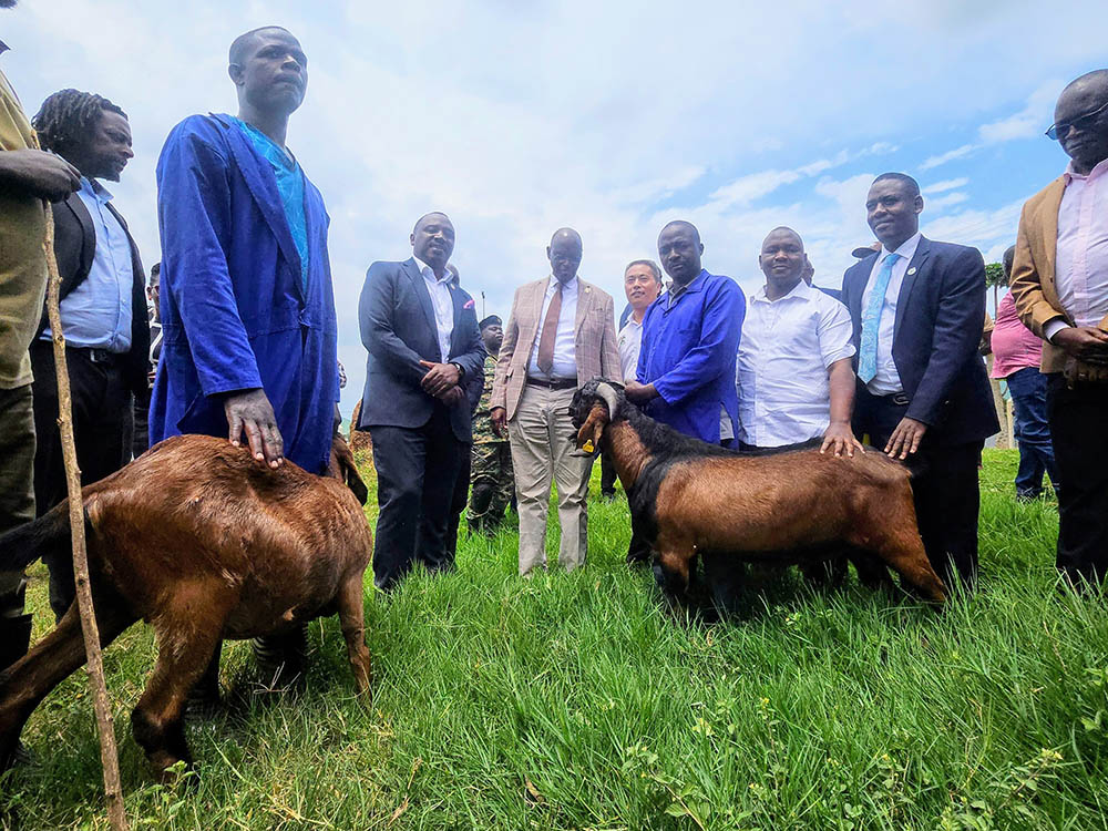Minister Bright Rwamirama (C) presiding over the goat transfer event at NAGRC & DB in Entebbe. (Courtesy Photo)