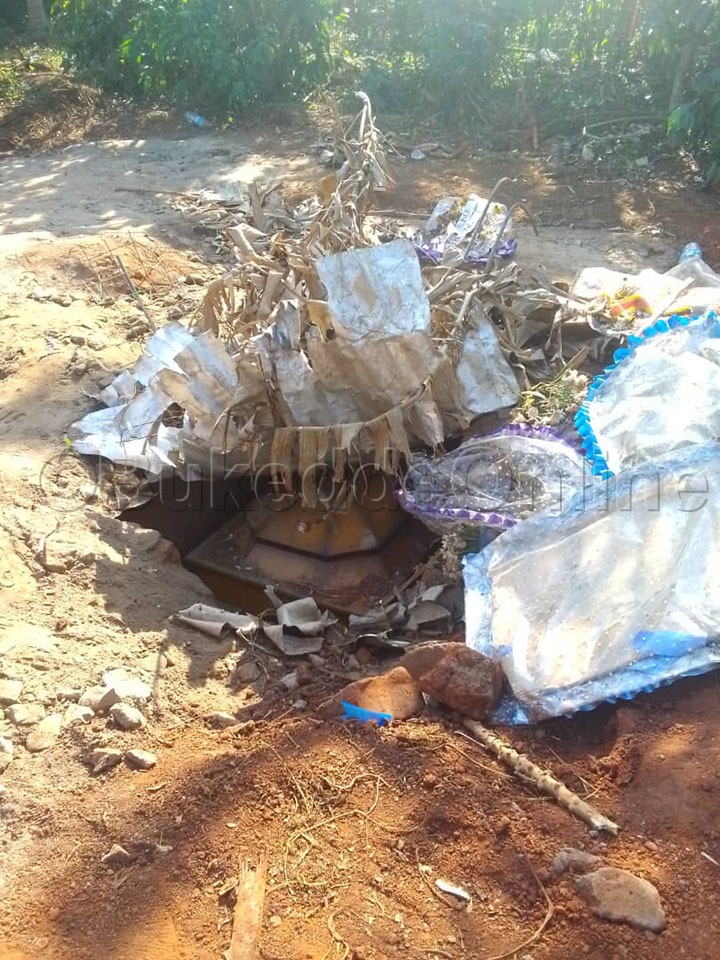 Entaana Eyasimuddwa.