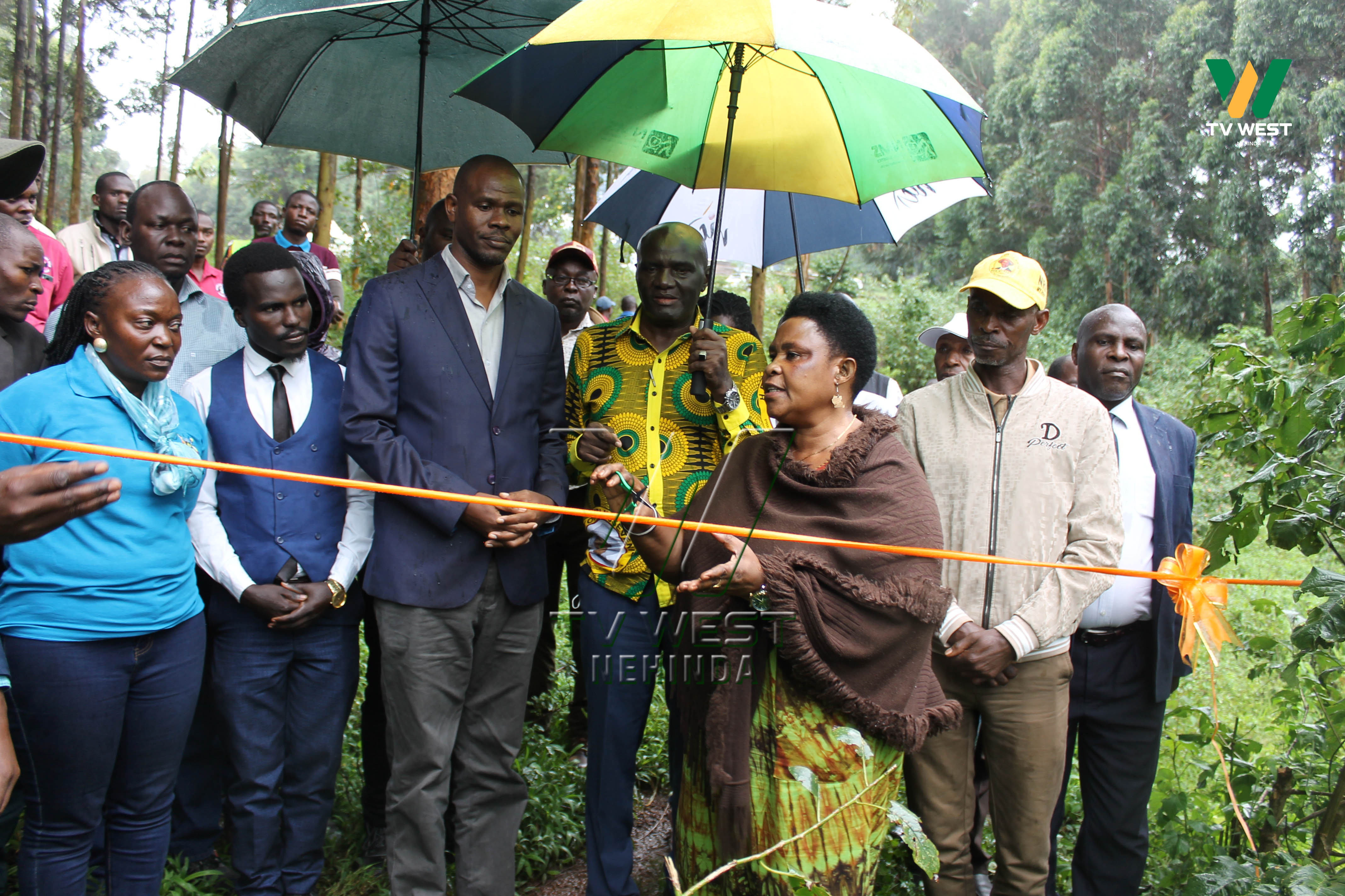 RDC wa Rwampara, Harriet Nakamya arikukwatsa abatuura ekicweka ky'ekibira kya Rwoho Central Forest Reserve enshumi nkye ehingwire. PHOTO: SSENGENDO ABDULKARIM