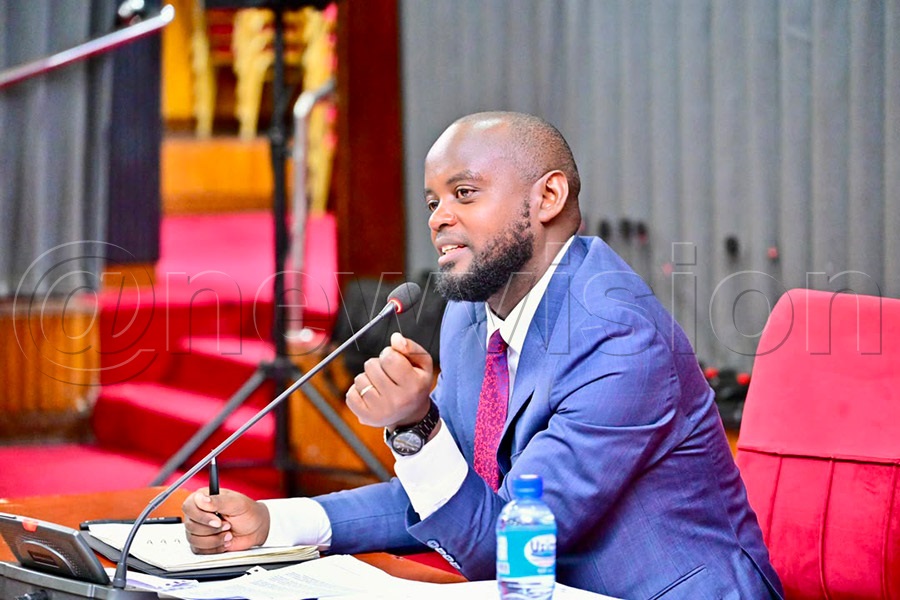Mwine Mpaka, Committee chairperson