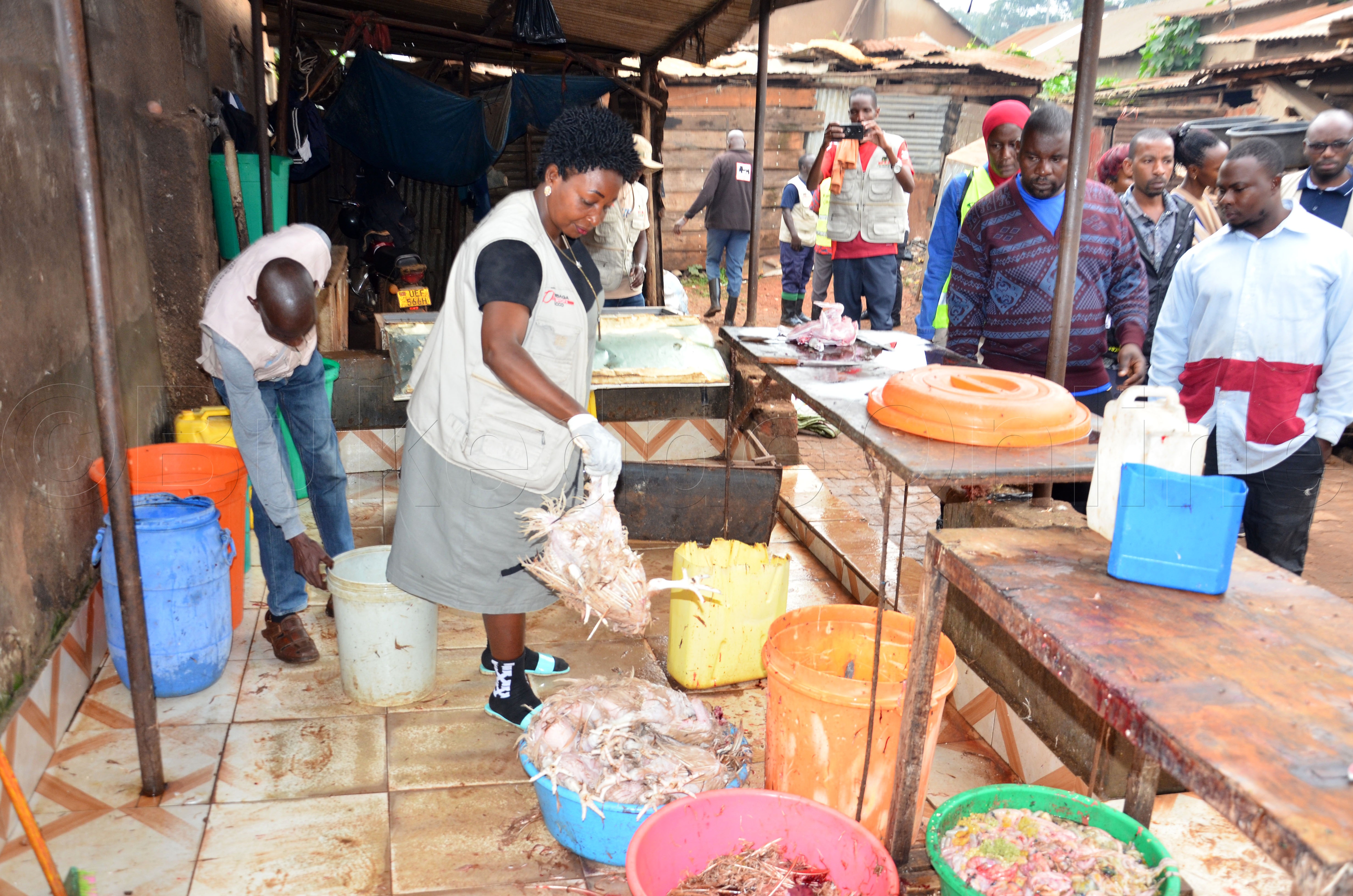 EKifo we battira enkoko kye basanze nga kicaafu nnyo