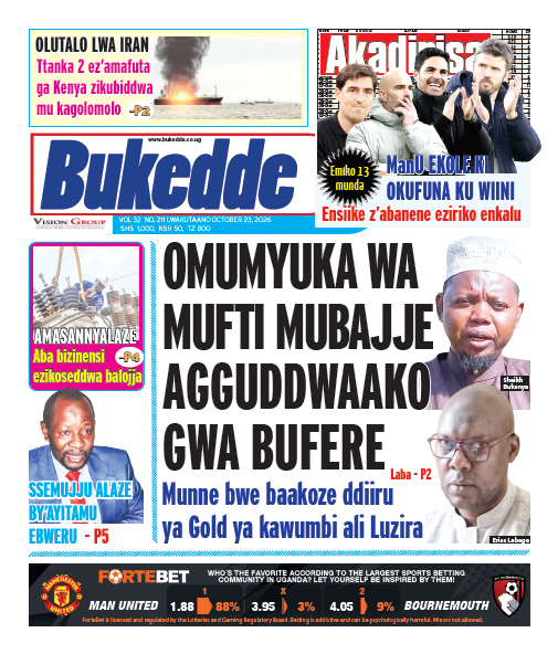 New Vision E-Paper