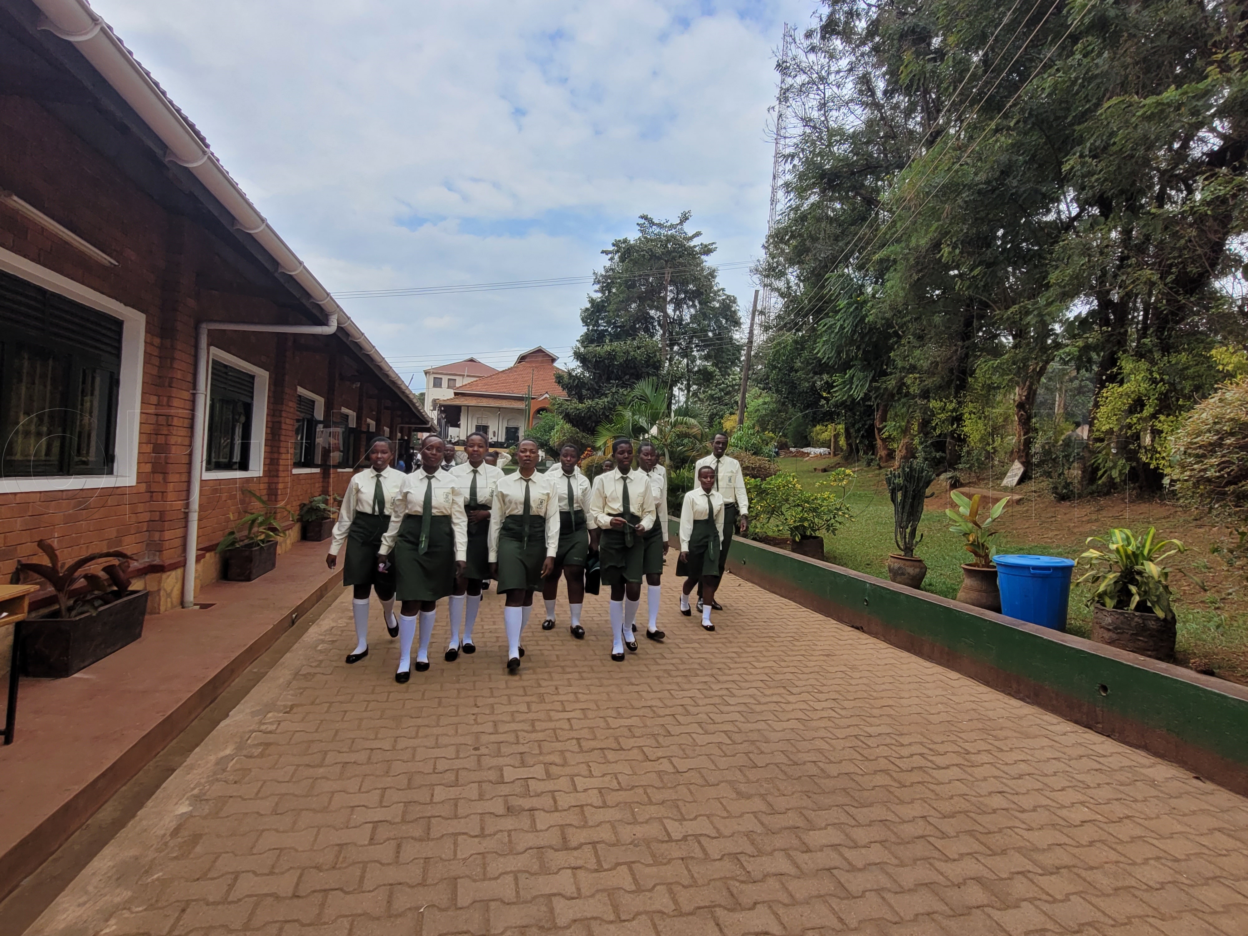 Essomero nga bwe lifaanana mu kiragala alabika obulungi.