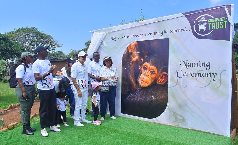 Sudhir Ruparelia and family, being accompanied by journalist Andrew Mwenda and James Byamukama, the country director of the Jane Goodall institute during the naming ceremony of a new born chimpanzee baby named after their late son Rajiv Ruparelia at Ngamba Island. (Photo by Julius Luwemba)