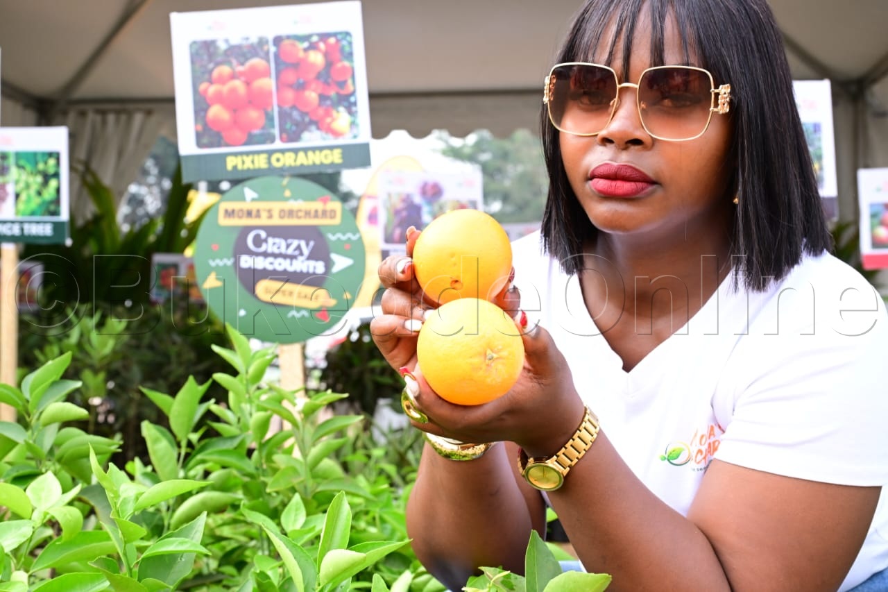 Ono yazze kwolesa ebibala omuli emicungwa emizungi ne dragon fruit eziziyiza kkansa ne ssukaali