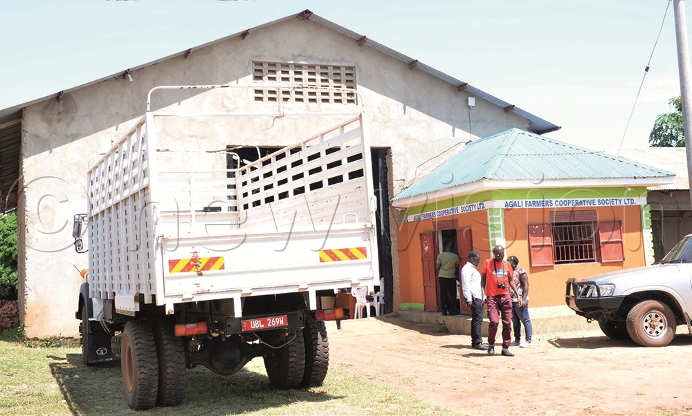 The co-operative premises located at Ocamongyang trading centre in Lira. The lorry transports produce from farmers to the market.