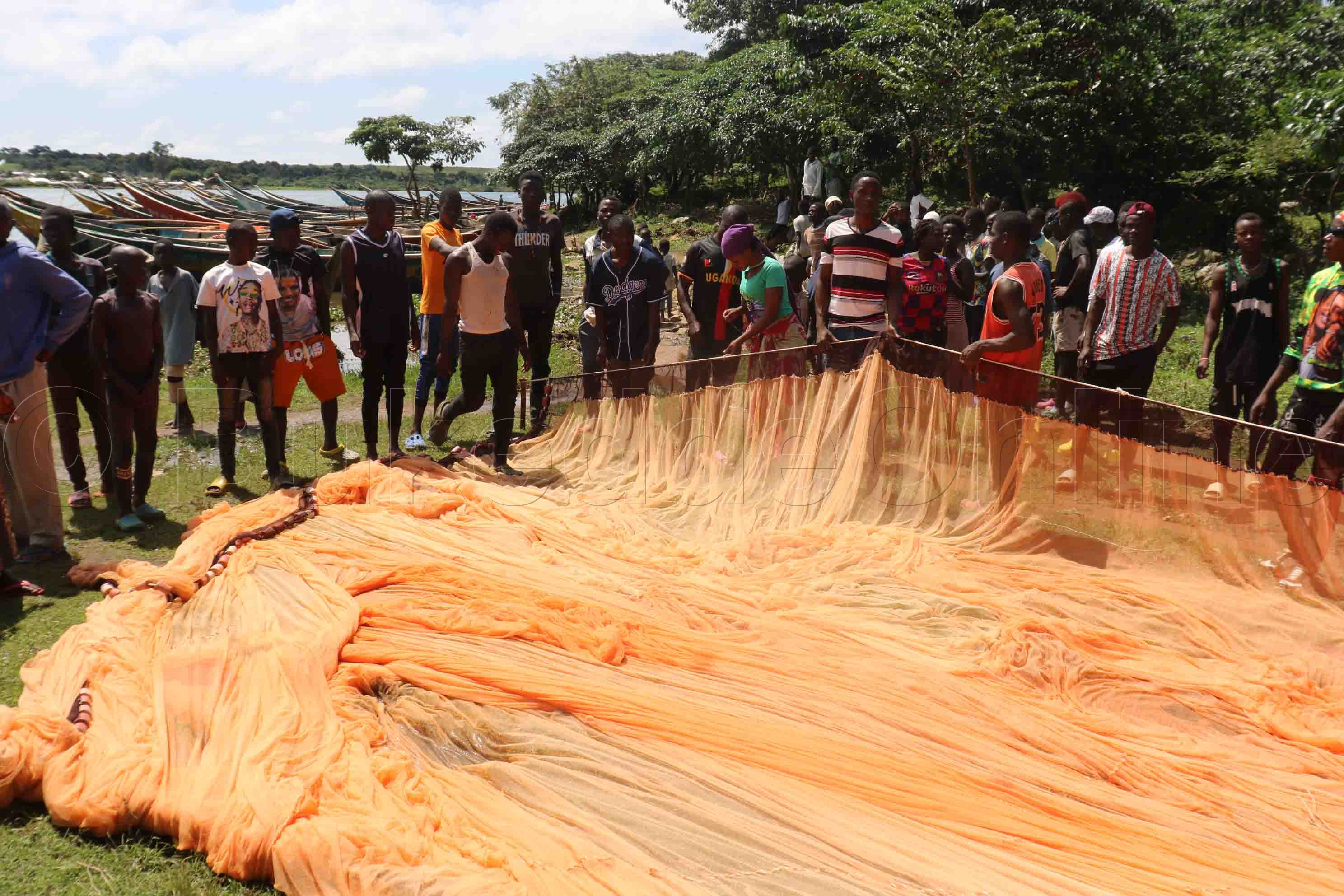  Abavubi nga bali n'akatimba ke bakozesa okuvuba mukene.