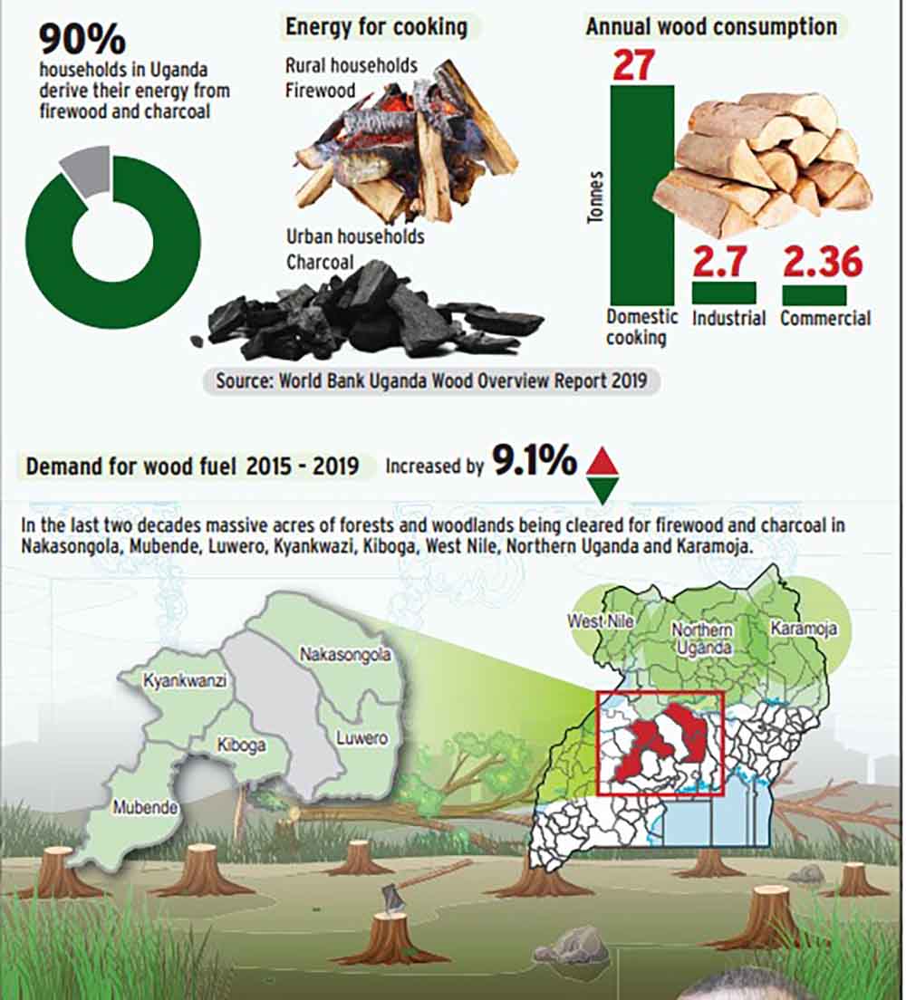 GREEN UGANDA Firewood, charcoal burning up New Vision Official