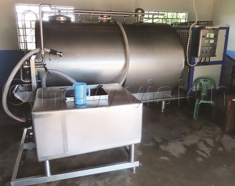 The availability of pastures all year round has stabilised milk production for farmers in the cattle corridor.