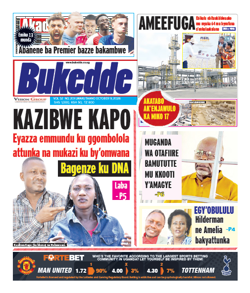 New Vision E-Paper