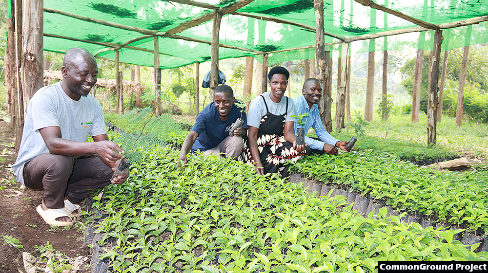 Community tree nursery beds have been established to ease access to tree seedlings