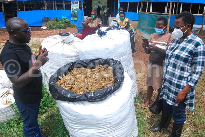 Omuddo gusobola okukazibwa okugufunamu