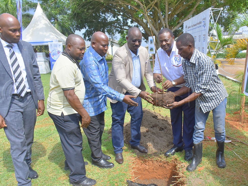 Prof Pontiano Kaleebu (2nd right), Steven Shyaka (3rd right), Senfuka Tamuzadde (3rd left) with other guests planting a tree at the UVRI campus in Entebbe municipality on Friday. (Credit: Julius Luwemba)