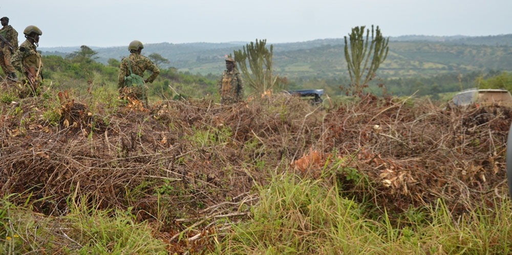 Acting on the orders of the Chief of Defence Forces (CDF), Gen Muhoozi Kainerugaba, last week, Brig. Kajuba deployed soldiers to stop clashes in the troubled Ntyazo village and at the farm of Paul Ssembeguya in Ntusi, where the land conflict turned violent. (Credit: Dismus Buregyeya)