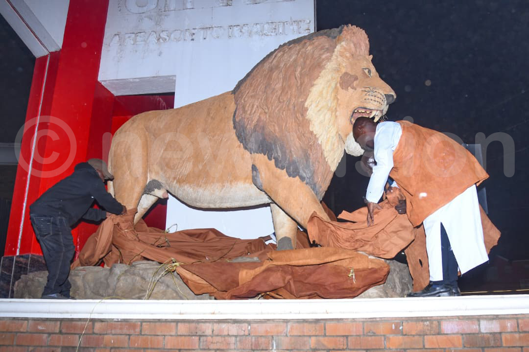 The bark cloth that draped lion sculptures across Tooro kingdom as a traditional mourning rite were finally removed. Photos by Richard Sanya