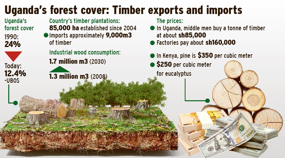 Timber Exports Standards, splitting remain leading constraints New