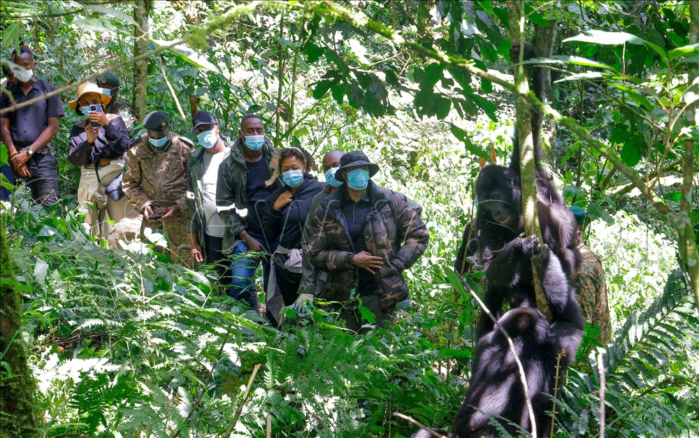 King oyo of Tooro (standing infront) with other members of the Royal family catching a glimpse of two gorillas swinging by the trees inside Bwindi Impenetrable national park during the gorilla tracking expedition in April 2025