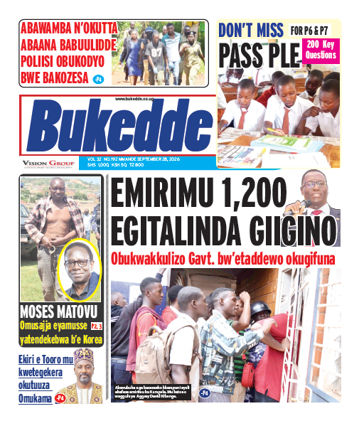 New Vision E-Paper