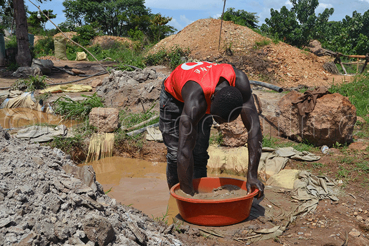 Omuvubuka Ng'alongoosa Zzaabu N'engalo Ze.