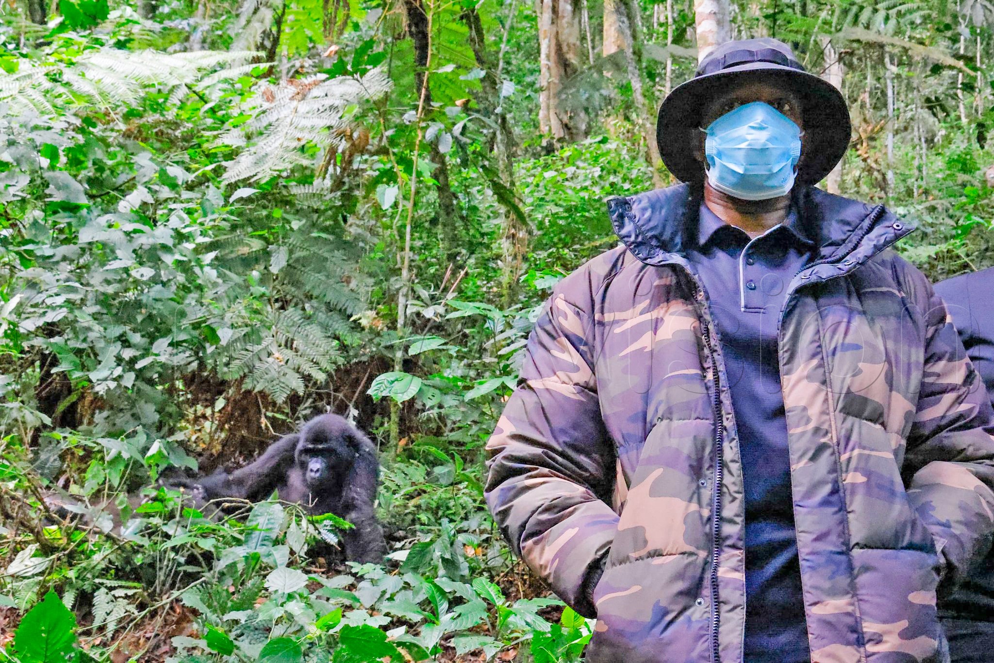 King Oyo during his Gorilla tracking expedition in Bwindi Impenetrable National Park. (New Vision Archives)
