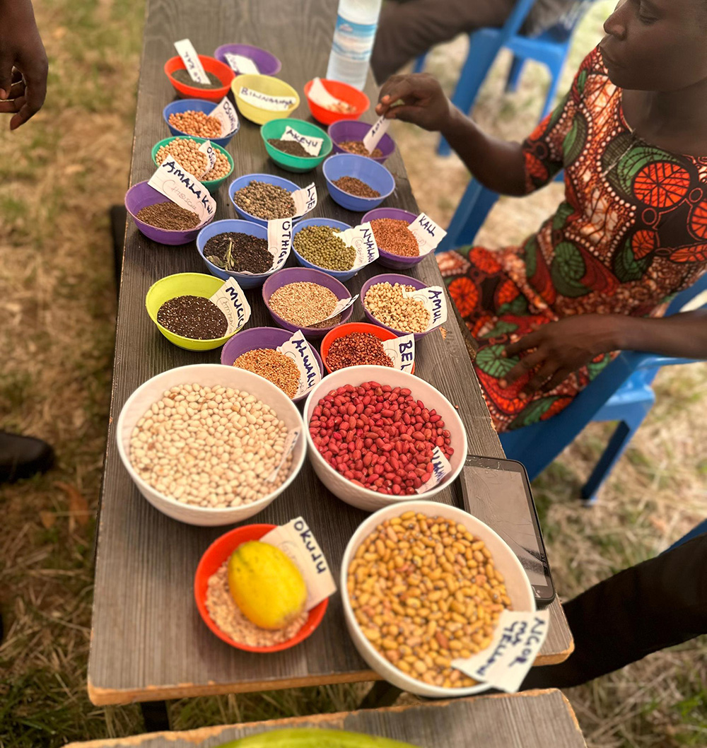 Indigenous seed on display during the launch of the centre. (Credit: PELUM Uganda)