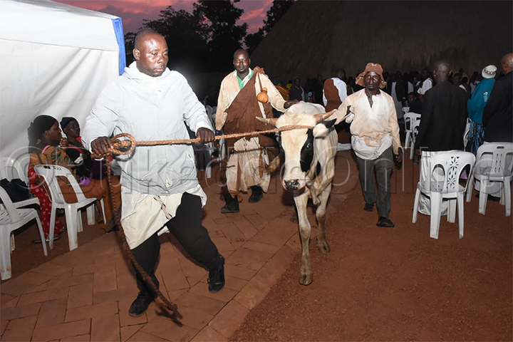 Ente eyawereddwayo oluvanyuma lw'okusalibwa kw'ekisasi ky'enju Muzibu-Azaala-Mpanga