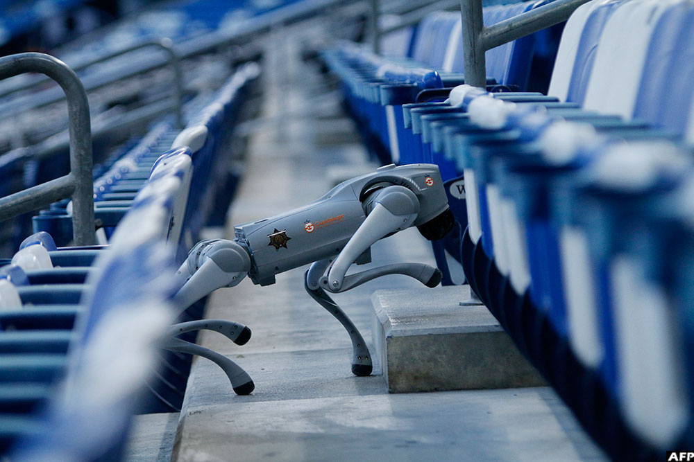  Robot dogs have been designed to help Mexican police tackle crime during the World Cup