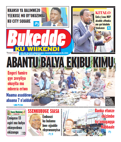New Vision E-Paper