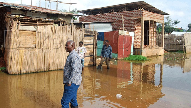 Amayumba nga gali mu mazzi