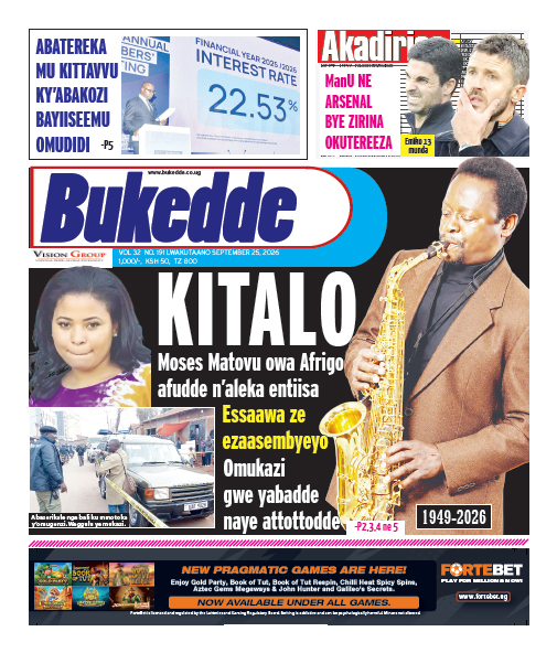 New Vision E-Paper
