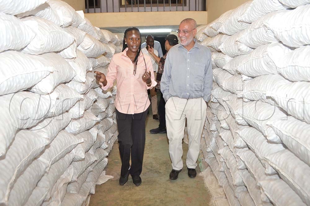 Evelyn Anite, Ministra de Estado de Inversión y Privatización, visita la Fábrica de Nueces de Macademia en Nambale Village, Distrito de Mityana. (Foto por Shamim Saad)