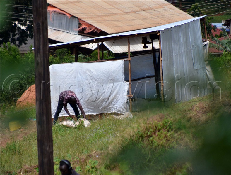 Structures which have been erected on the disputed land by a group OfsSuspected hooligans on orders of Hajji Issa Ssenyonga.