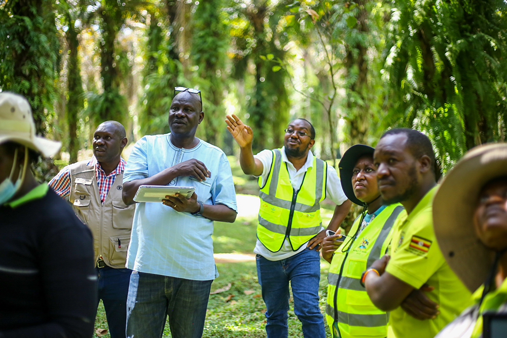 Joab Tugume, a senior agriculture inspector in the Ministry of Agriculture, Animal Industry and Fisheries, explained that the focus is on the red palm weevil, which attacks oil palm trees. He noted that oil palm is Uganda’s leading industrial crop.