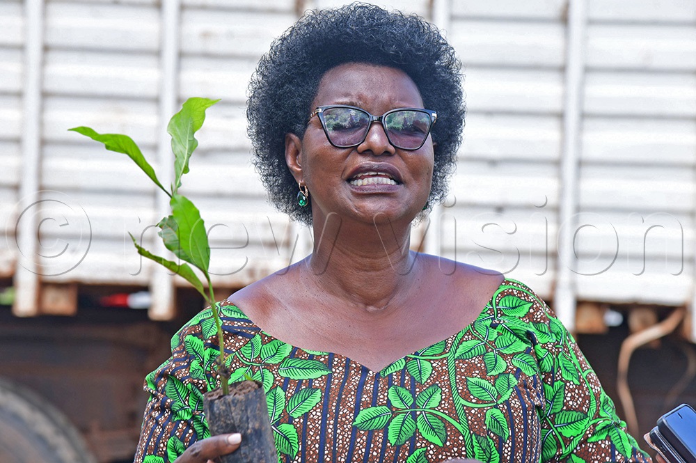 Minister Hellen Adoa speaking to Serere people as she held a robusta coffee seedling. (Photo by Godfrey Ojore) 