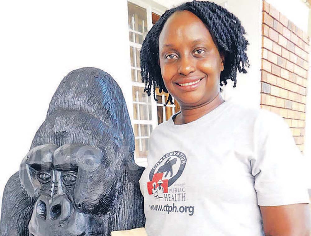 Walking with Gorillas gets new voice in audiobook launch