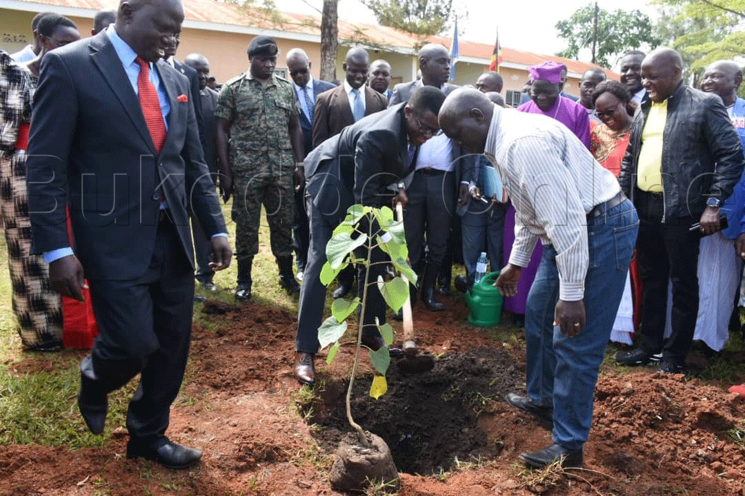 Katikkiro ng'asimba omuti
