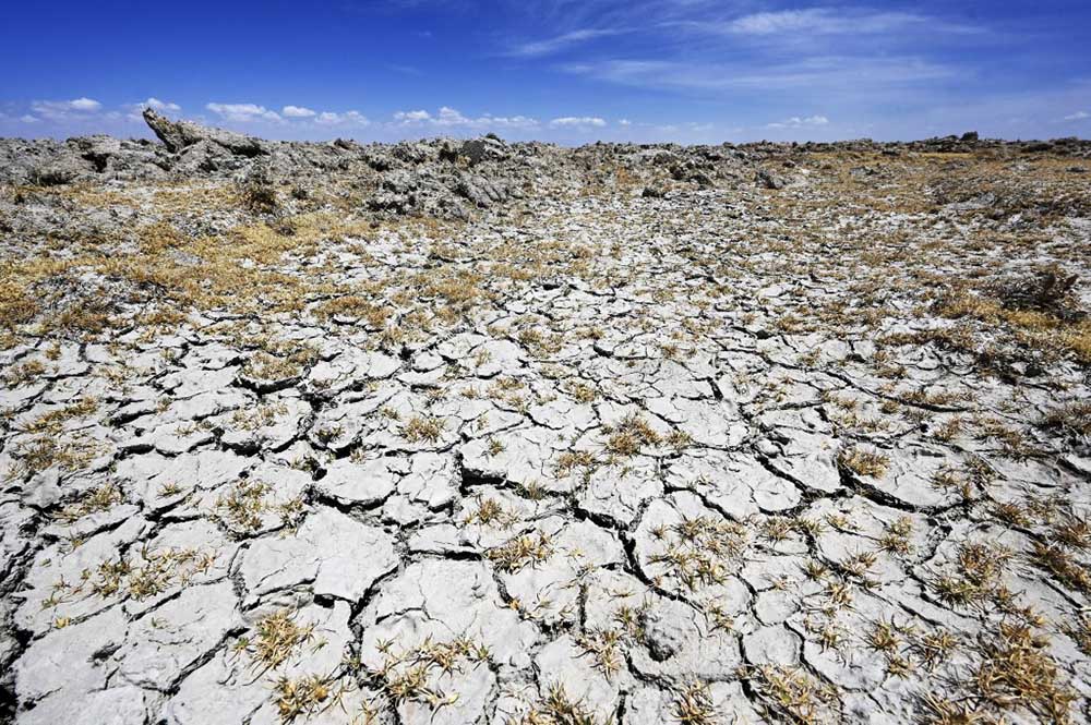 Weekly weather forecast drier than usual conditions expecte