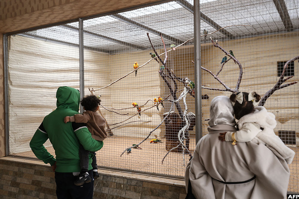 On the first day of Eid al-Fitr in March, hundreds of families queued to enter Tripoli's zoo.