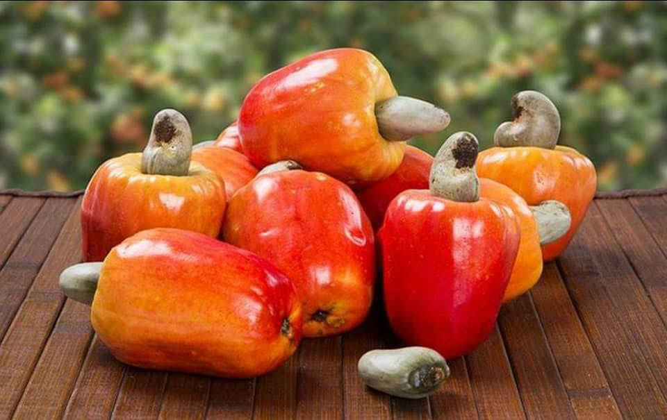 Cashew nut, a fruit worth investing your cash New Vision Official
