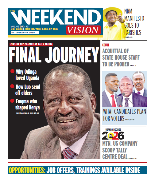New Vision E-Paper