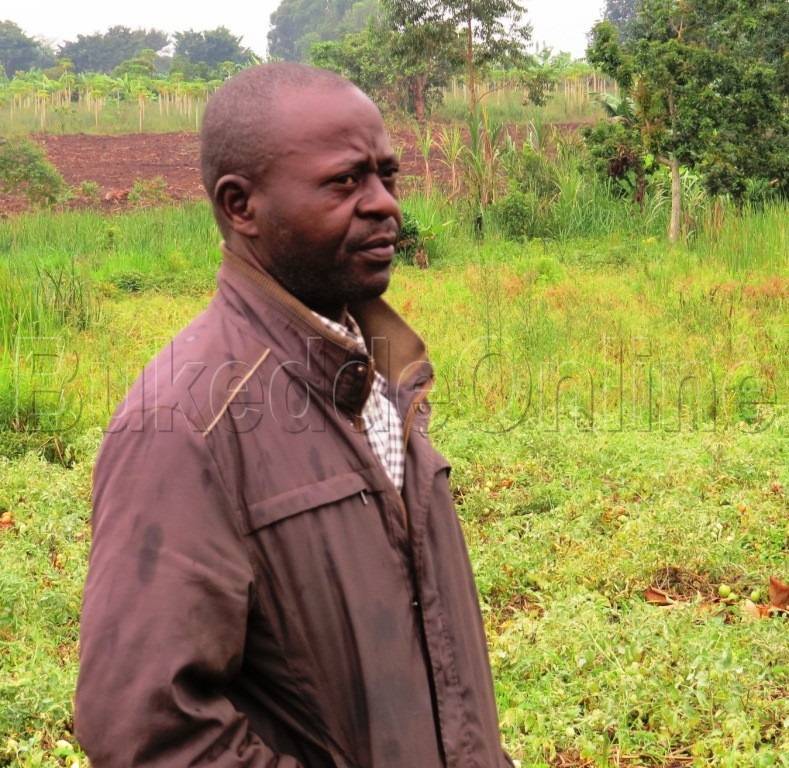 Nduunyi nga bimusobedde oluvannyuma lw'okulumbibwa abako