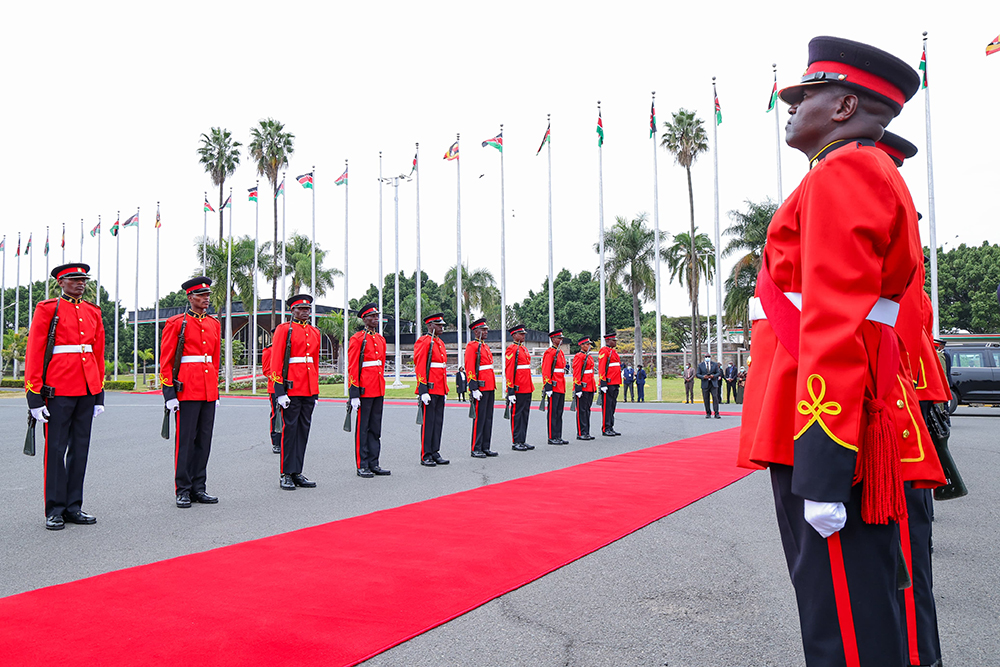 A guard of honour awaiting the president.