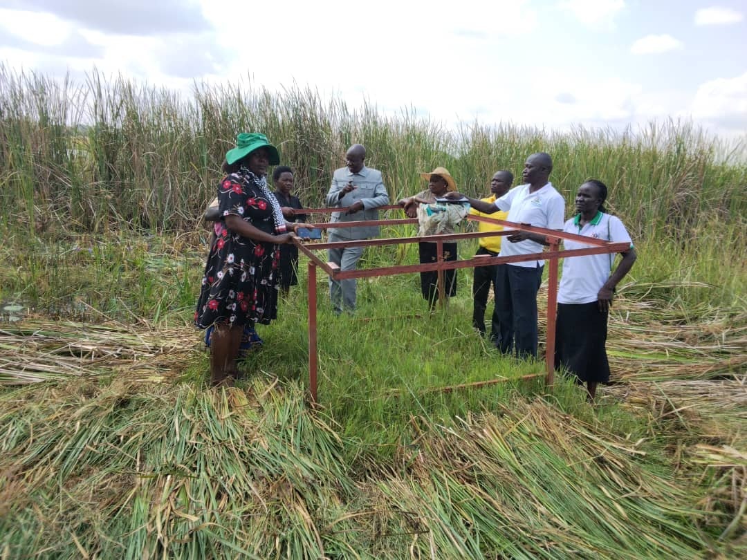 LC5 Chairperson James Robert Otim, accompanied by other officials, inspects an incomplete irrigation project that led to the arrest of three officers on Monday, July 6. (Courtesy)