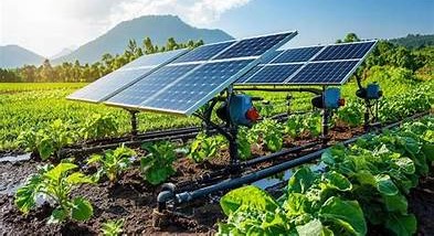 Solar Powered Irrigation System.