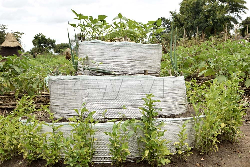 An Optimum Land Use Model (OLUM) for planting crops. 