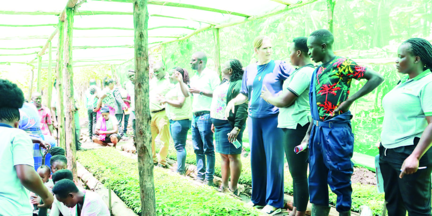 Communities have been supported to establish tree nursery beds to ease access to seedlings