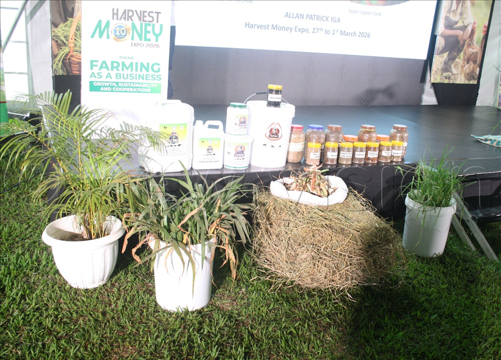 Some of the pastures farmers are encouraged to take venture in.