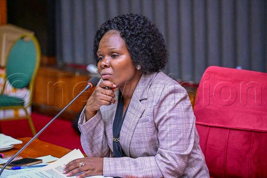 Public Accounts Committee (Central) vice chairperson Gorreth Namugga chaired the seating.